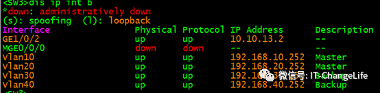 OSPF+VRRP+MSTP冗余组网配置