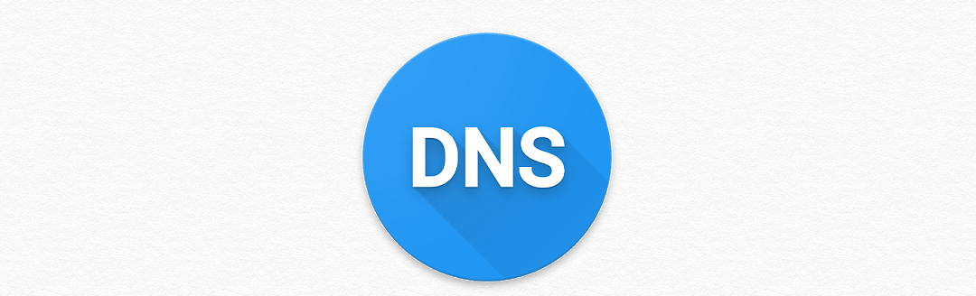 DNS 域名解析批量查询-Python